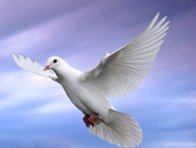 Mediumship readings- from this world and the spiritual world